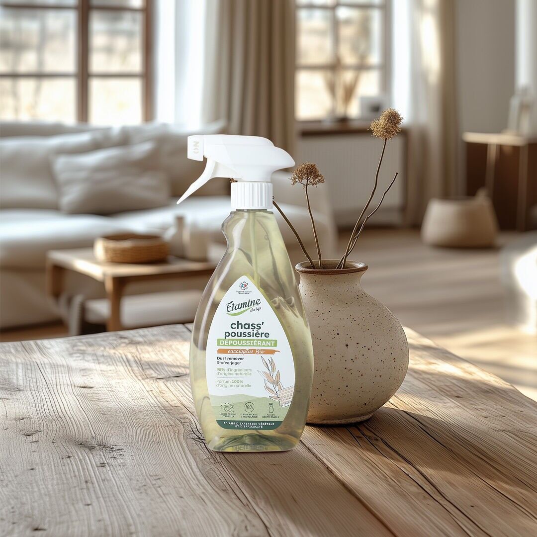 RIMOZIONE DELLA POLVERE