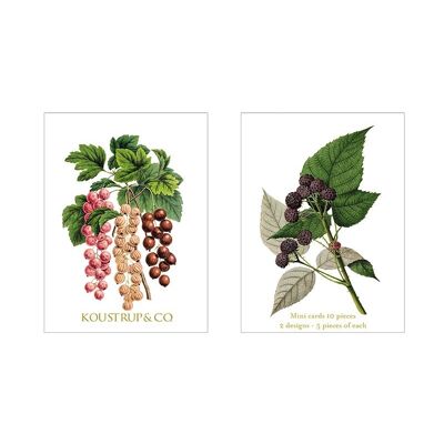 Minicards Estate - Ribes