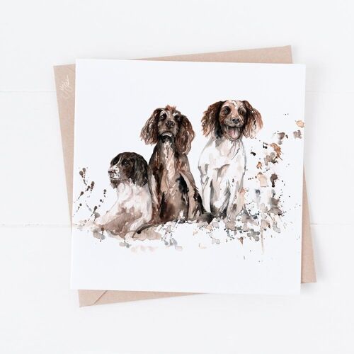 Springer Spaniels Greeting Card