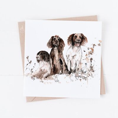 Springer-Spaniels-Gruß-Karte