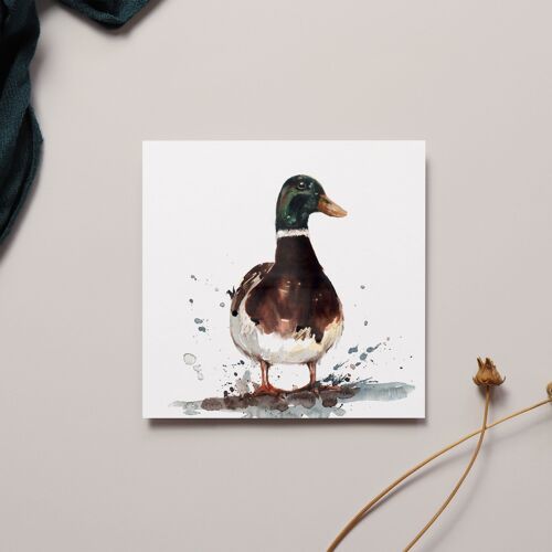 Mallard Greeting Card