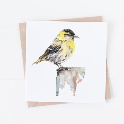 Siskin macho Tarjetas de felicitación