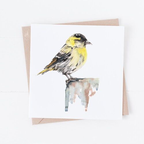 Male Siskin Greeting Card