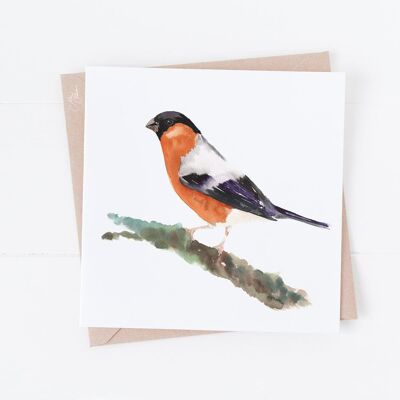 Bull Finch Greeting Card