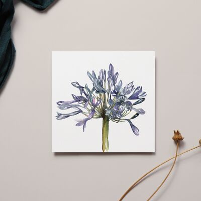 Agapanthus-Aquarell-Design Grußkarte