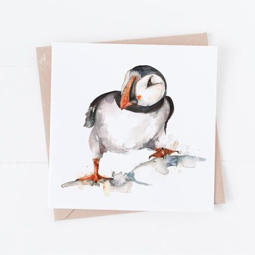 Puffin Greeting Card