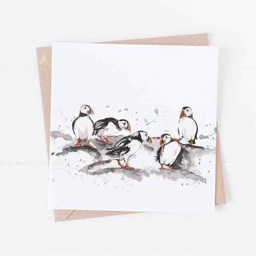 Puffins Greeting Card