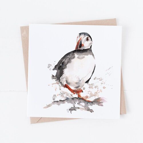 Puffin Greeting Card