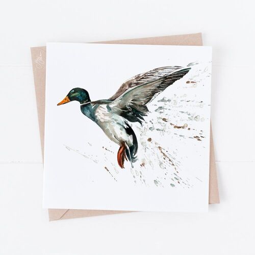 Mallard Greeting Card