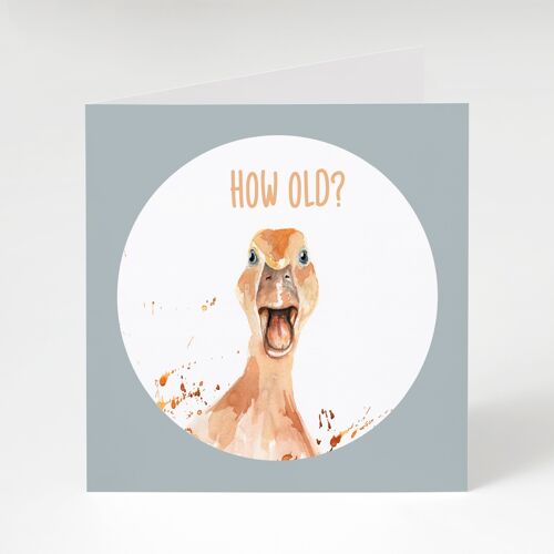 How Old? Greeting Card