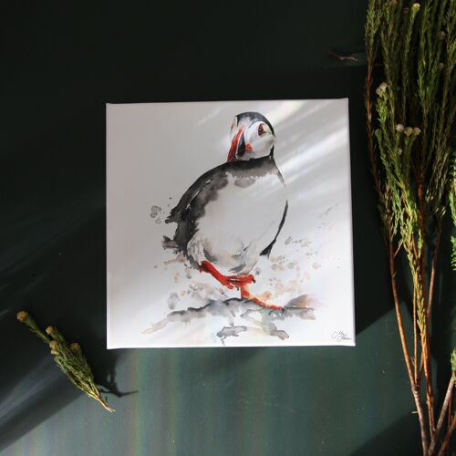 Puffin Watercolour Canvas