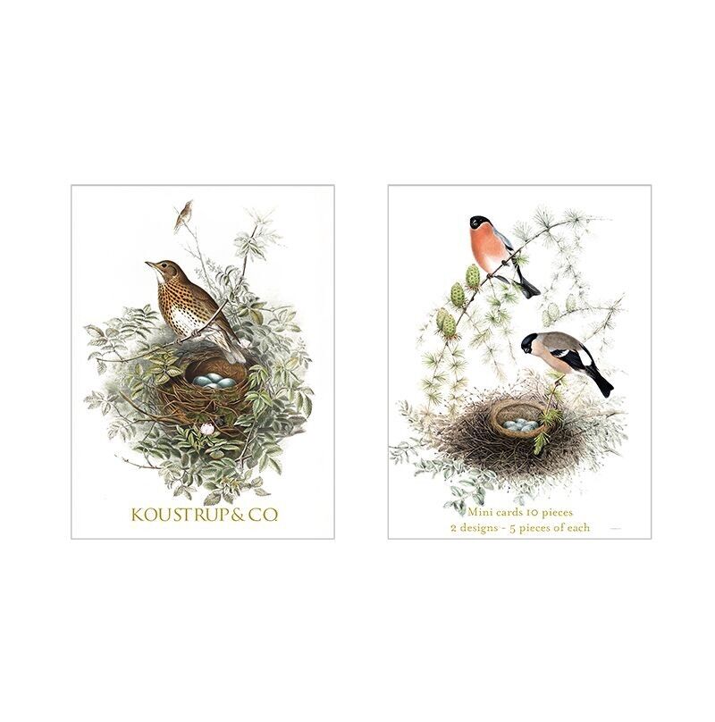 Minicards Summer - Song thrush and bullfinch