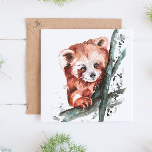 Red Panda Greeting Card