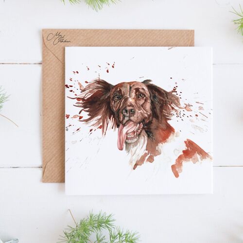 Spaniel Greeting Card