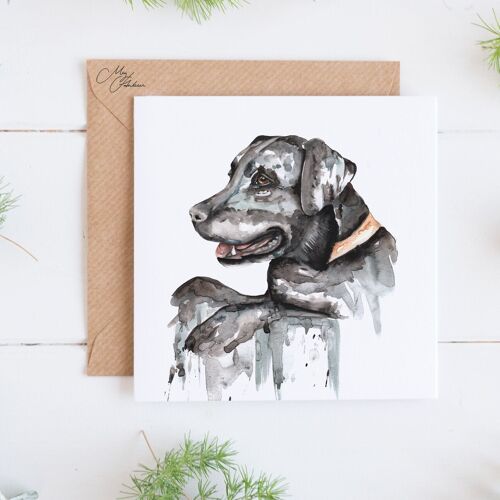 Black Labrador Dog Greeting Card