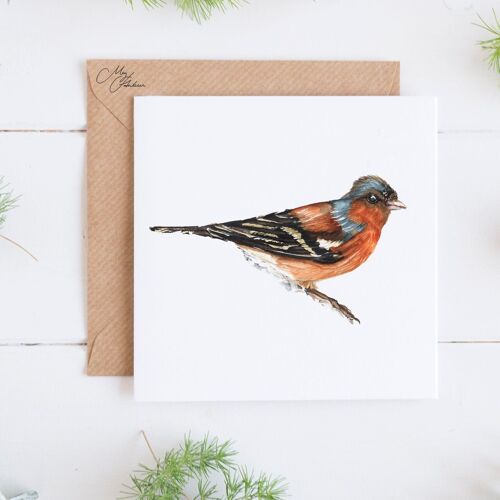 Bird Greeting Card