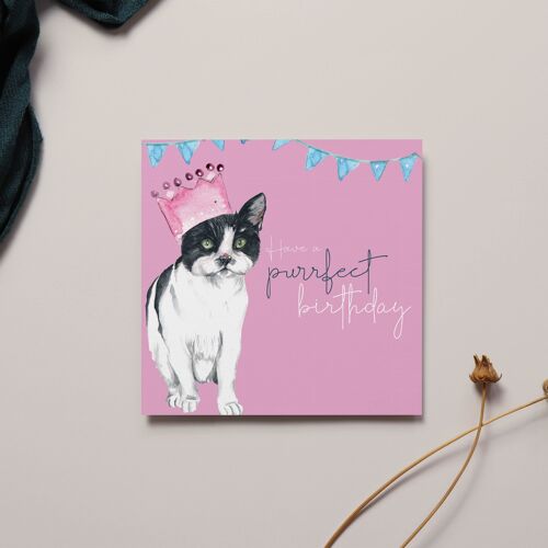 Purrfect Birthday Sentiment Card