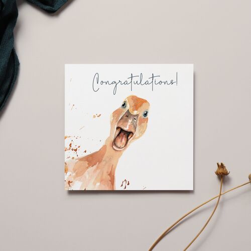 Congratulations! Duck Sentiment Card