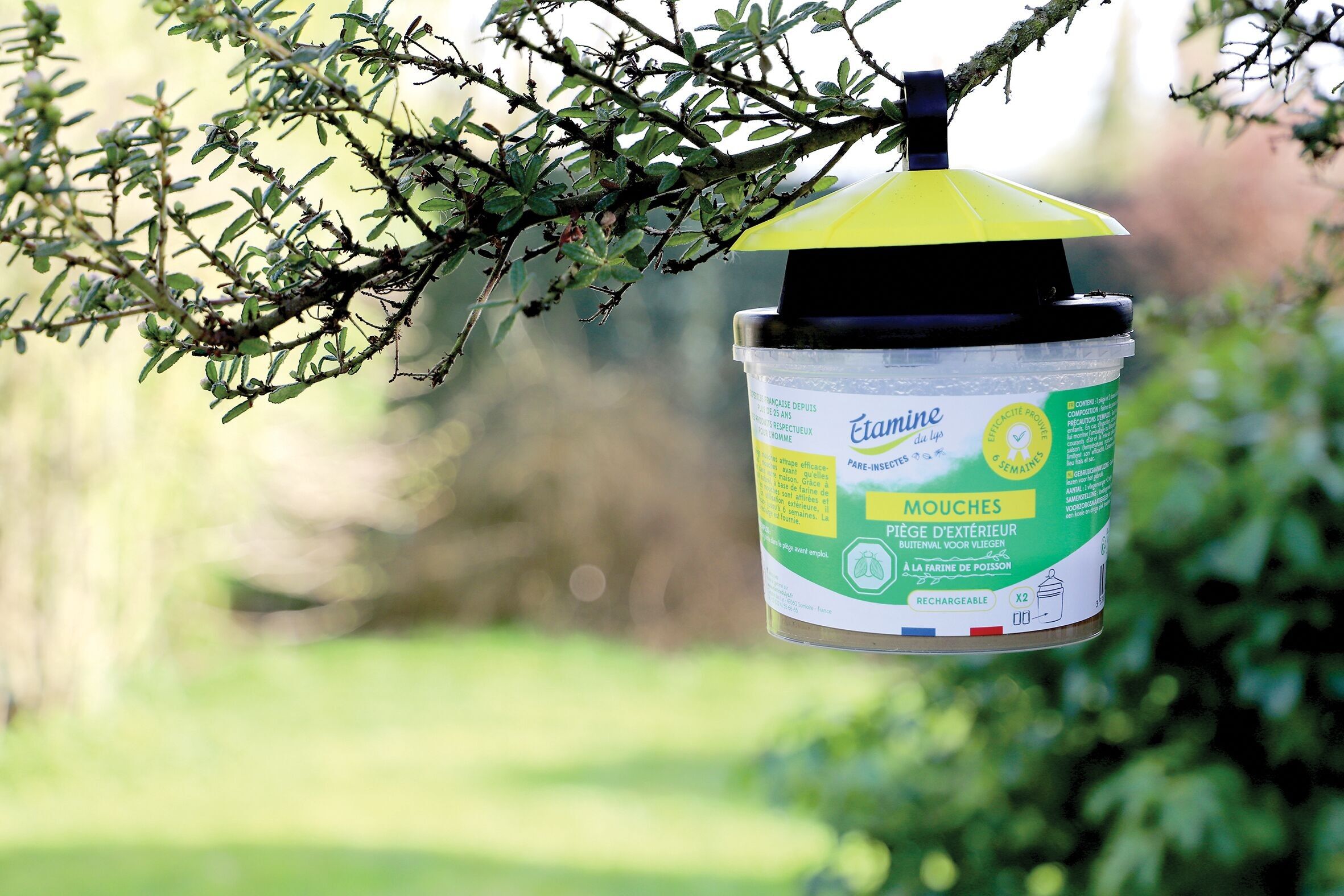 FLIEGEN / OUTDOOR-FALLE