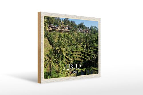 Holzschild Reise 40x30cm Ubud Bali Tegalalang Reisterrassen