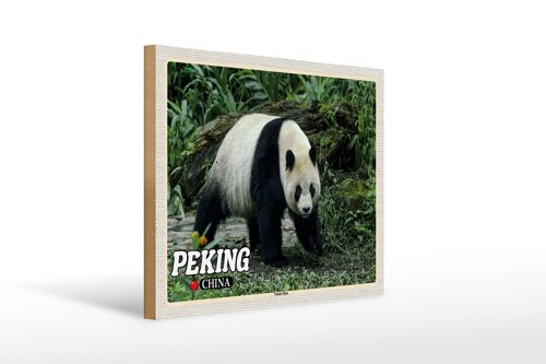 Holzschild Reise 40x30cm Peking China Panda Haus Geschenk