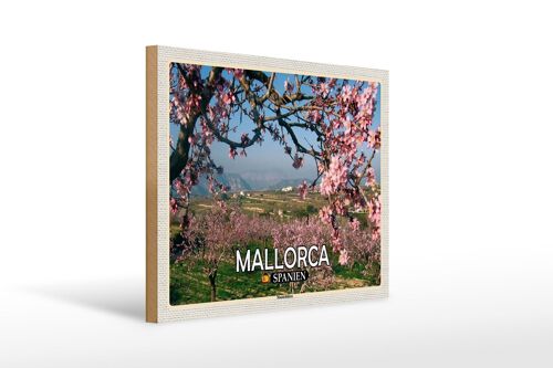 Holzschild Reise 40x30cm Mallorca Spanien Mandelblüten