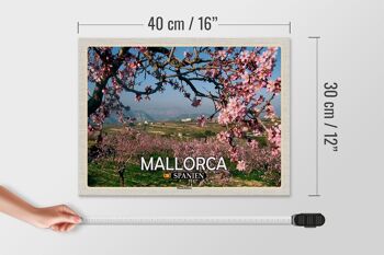 Panneau en bois voyage 40x30cm Majorque Espagne fleurs d'amandier 4