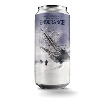 Endurance Hazy Pale Ale Canette 44cl