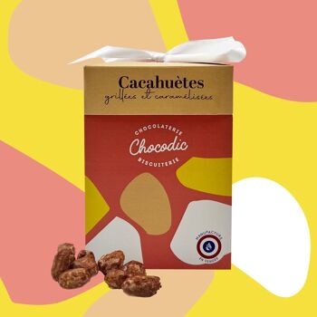 CHOCODIC - COFFRET MAXI CUBE CACAHUETES GRILLEES ET CARAMELISEES - COLLECTION COLORS - COFFRET CHOCOLAT CADEAU ANNIVERSAIRE MERCI 1