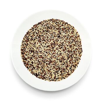 QUINOA TRICOLORE BIO 1 Kg 4