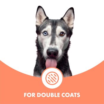 Shampoing revitalisant pour chien double couche 4