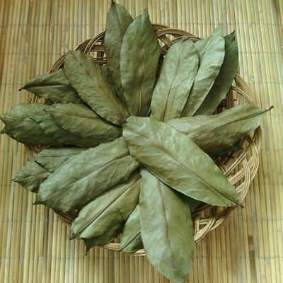 Dried Guanabana Leaves 40gr