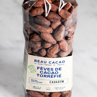 Geröstete Bio-Kakaobohne