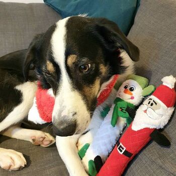 WufWuf Père Noël et bonhomme de neige se cachent dans un jouet interactif cube 10