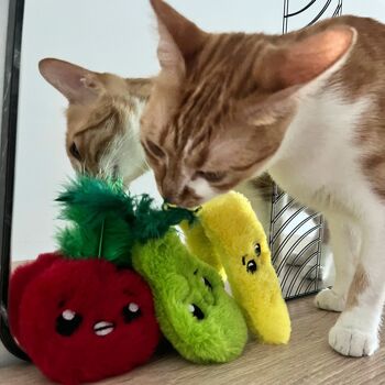 Ensemble de jouets rechargeables pour chat MyMeow Krazy avec 10 sacs de recharge d'herbe à chat naturelle d'Amérique du Nord 6