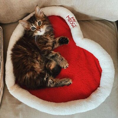 MyMeow Valentine Katzenbett