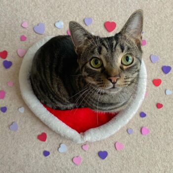 Lit pour chat MyMeow Valentine 8