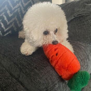 WufWuf Garret la carotte jouet en peluche grinçant pour chien 5