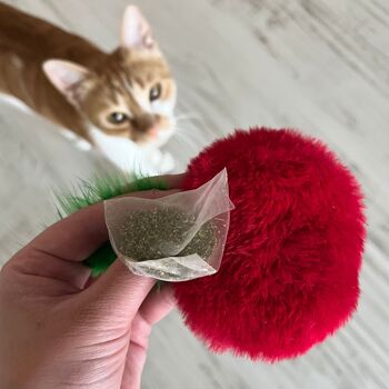 Jouet pour chat rechargeable MyMeow Krazy Apple avec 10 sacs de recharge d'herbe à chat naturelle d'Amérique du Nord 5