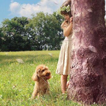 Laisse pour chien de cérémonie - Marié 3