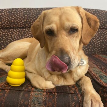 WufWuf Power Chewer Bell : Jouet à mâcher distributeur de friandises extrêmement résistant 2