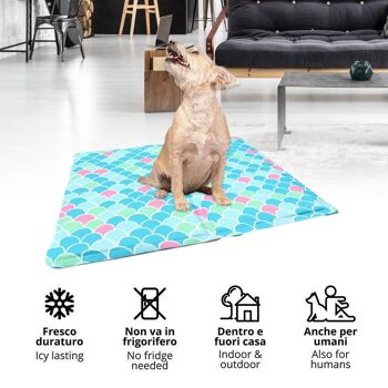 Tapis rafraîchissant pour chien - Balance 2