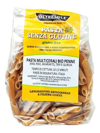 PENNE DE PÂTES MULTI-GRAINS BIO 350 g (TEFF, AMARANTH, QUINOA, MAI, RIZ) 1