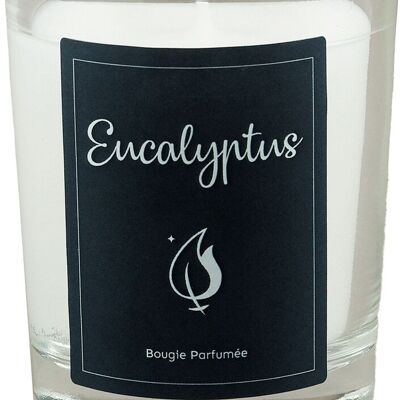 EUCALYPTUS SCENTED JUSTINE CANDLE