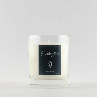 EUCALYPTUS SCENTED JUSTINE CANDLE