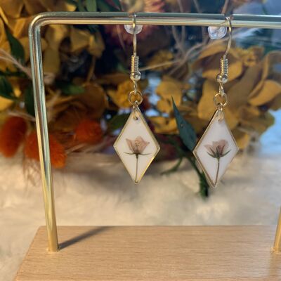 Dried pimpernel earrings