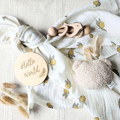 Maternity Gift Set Beige - Hydrophilic cloth, teddy pacifier cuddly toy and wooden rattle bird