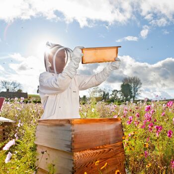 Meubles Hüsch Kit d'apiculteur de Katoen Kit d'apiculteur Vêtements de protection avec gants Sluier Geitenleer avec XXL unisexe 2