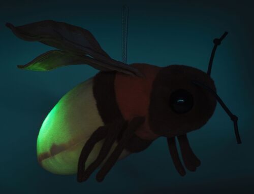 Glühwürmchen (mit Licht) - 17 cm (Länge) - Keywords: Leuchtkäfer, Käfer, Insekt, Lämpchen, Plüsch, Plüschtier, Stofftier, Kuscheltier