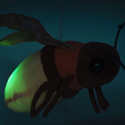 Firefly (with light) - 17 cm (length) - Keywords: firefly, beetle, insect, lamp, plush, soft toy, stuffed toy, cuddly toy